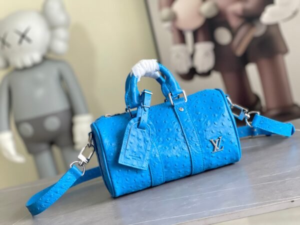 LV Keepall 25 -M84141-Premium
