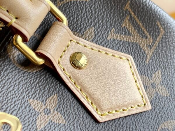 2 (5) LV Speedy Bandoulière 20 -M46234-Premium